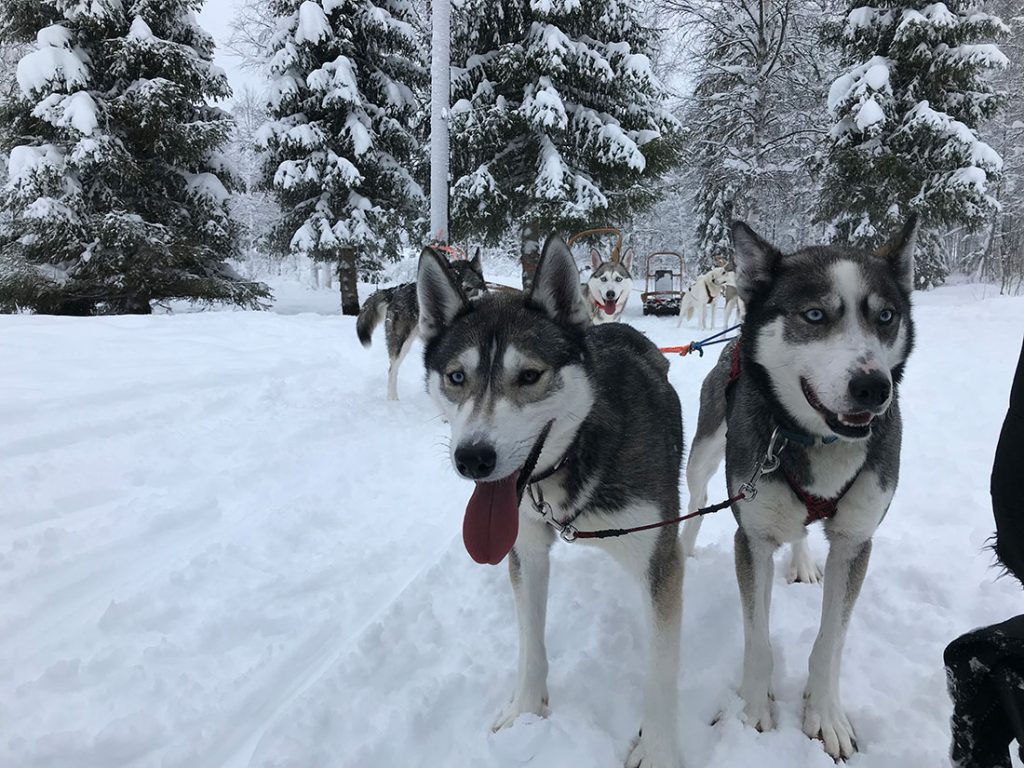03-finland-keistadtours