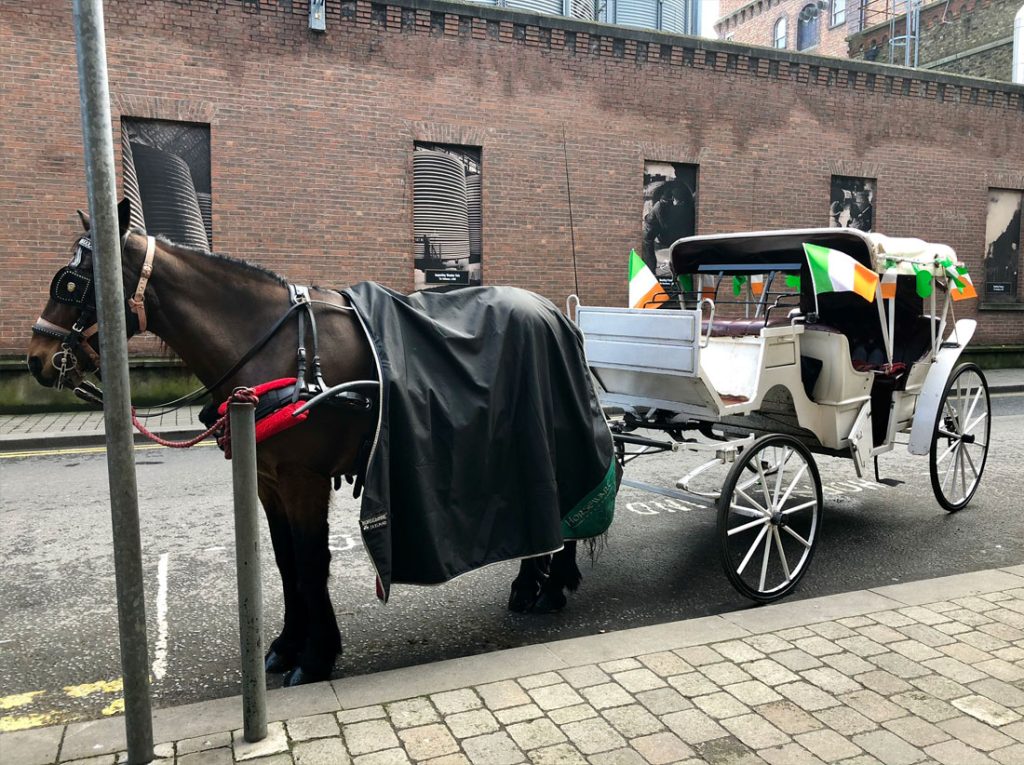 06-ierland-keistadtours